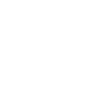 Escudo Secure Core Consulting